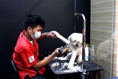 Hi Pet Lovers! Robinsons .